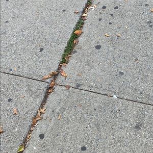 Meet your Posher, Shawn